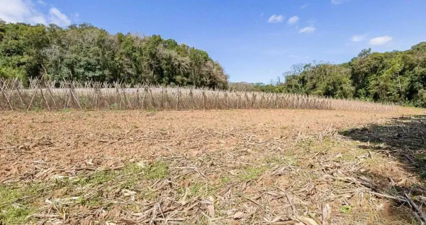 Chácara / sítio com 1 quarto à venda na Rua Sílvio Dallagrana, 1, Ferraria, Campo Largo