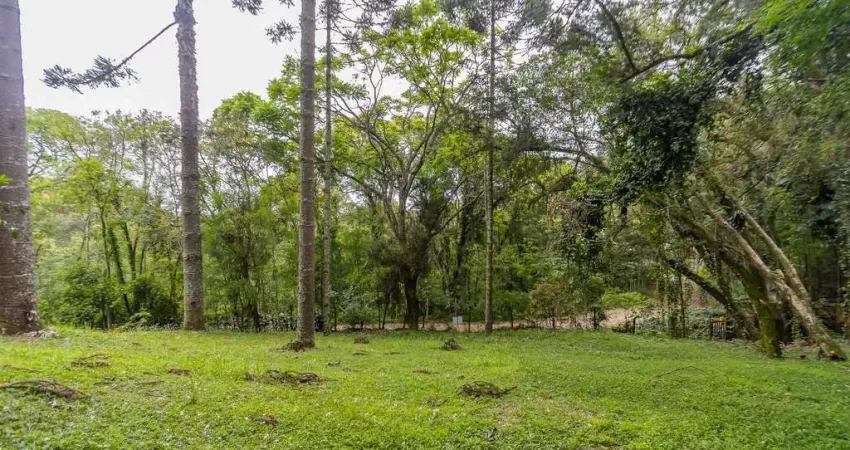 Terreno 745m2 rua sem saída Santa Felicidade