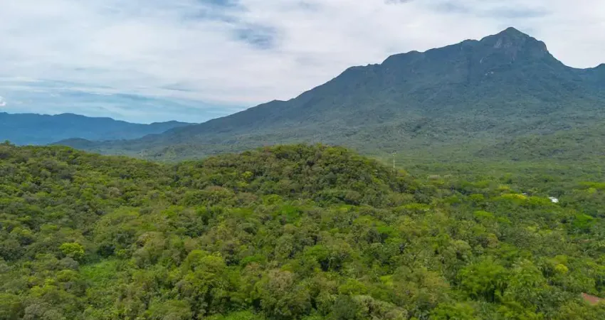 Chácara / sítio com 6 quartos à venda na Rodovia Mário Marcondes Lobo, Km 8, Porto de Cima, Morretes
