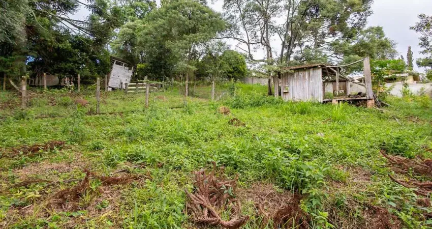 Terreno à venda na Rua Carlos Pinto de Lima, 47, Timbotuva, Campo Largo