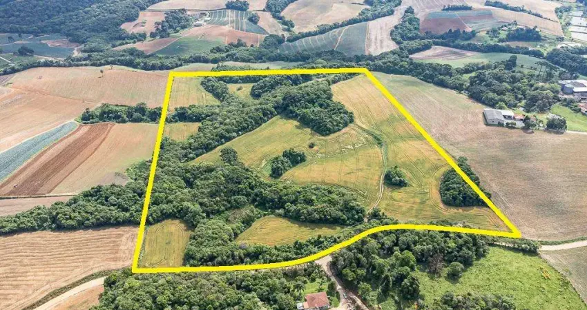 Terreno comercial à venda na Rua Estanislau Lalico, 150, Vila Dom Pedro II, Campo Largo