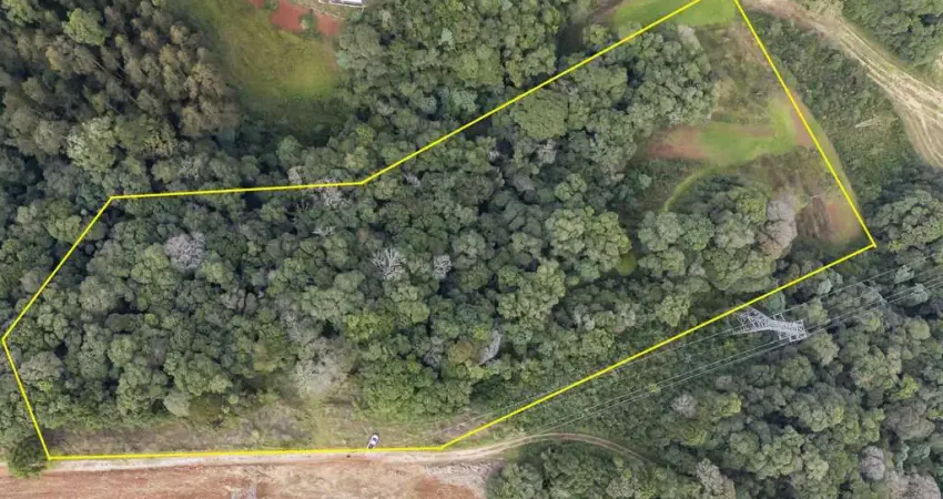 Chácara em Campo Magro com 24.200 m²