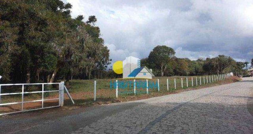 Chácara / sítio com 1 quarto à venda em Miringuava, São José dos Pinhais 