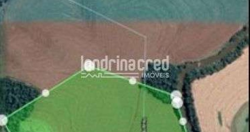 Chácara à venda Zona Rural, São Pedro do Iguaçu - PR
