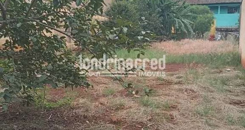 Terreno à venda no Jardim Silvino, Cambé 