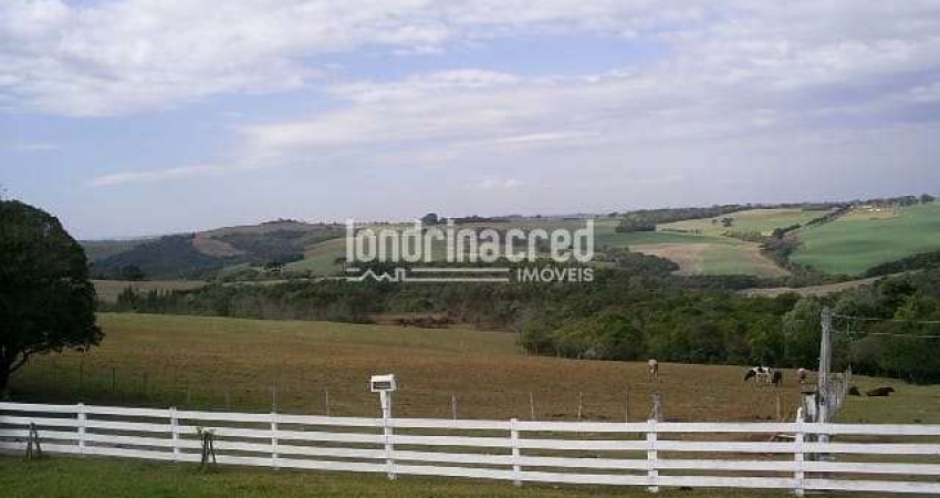 Chácara / sítio à venda na Zona Rural, Ponta Grossa 