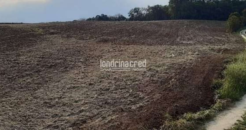 Terreno à venda na Zona Rural, Rio Azul 
