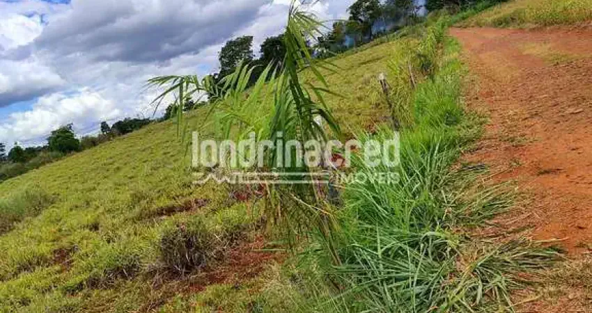 Chácara / sítio à venda na Zona Rural, Ibiporã 