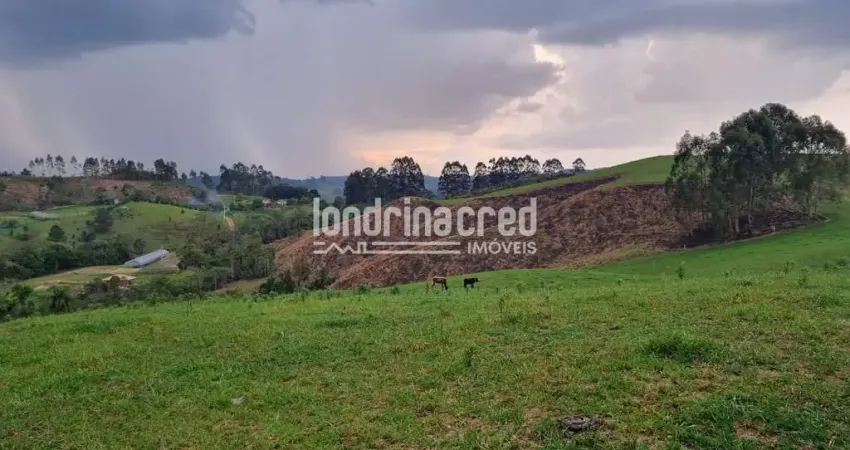 Chácara à venda 744000M², Zona Rural, Castro - PR