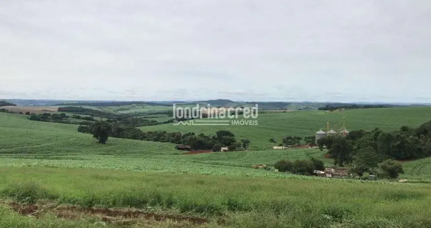 Chácara / sítio à venda na Zona Rural, Guairaçá 
