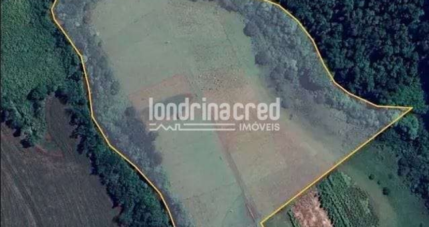 Chácara à venda 72600M², Zona Rural, Ibiporã - PR