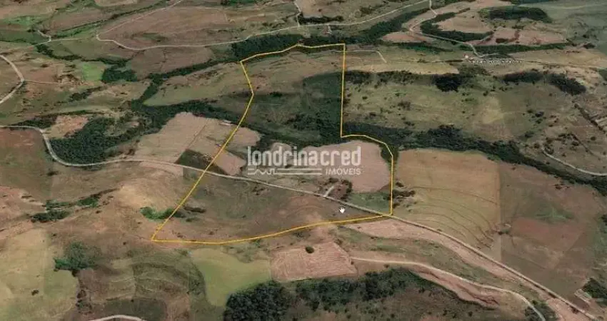Terreno à venda na Zona Rural, Ribeirão do Pinhal 