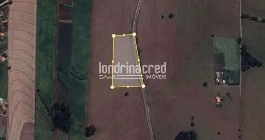 Chácara à venda, Patrimônio Regina, Londrina, PR Excelente Terreno Localizado na Rodv. Mabio Gonçal