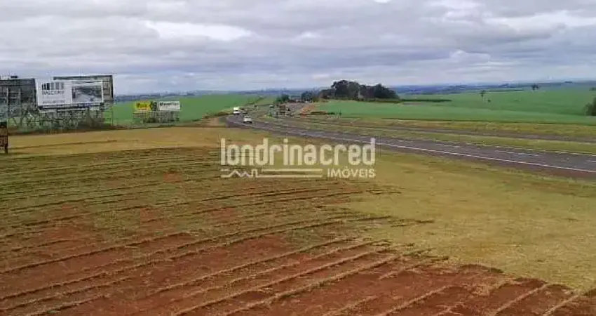 Excelente terreno 92mil metros quadrados, entre a Cidade de Rolândia e Arapongas próximo a  grandes