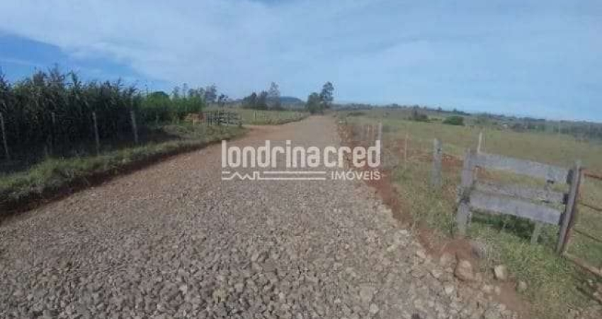 Excelente Sítio localizado em Santo Antonio da Platina.ÁREA TOTAL: 78.000m²