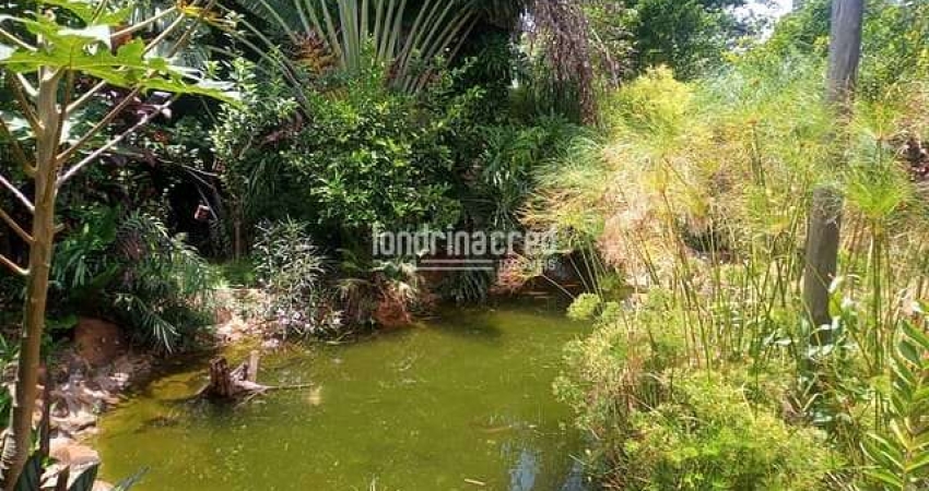 Chácara para Venda 6000M², Conjunto Vivi Xavier, Londrina - PR