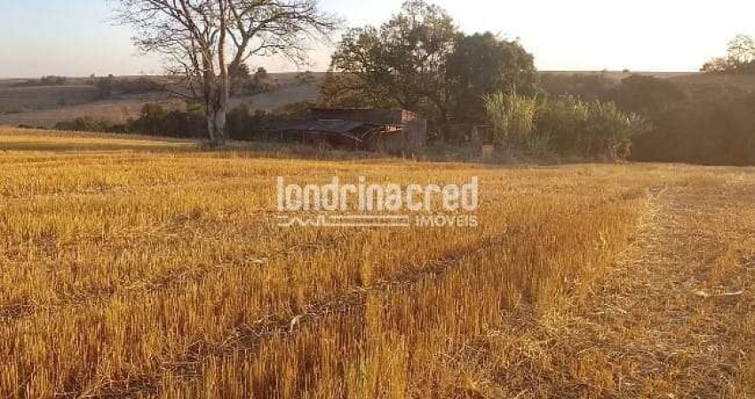 Vendo Terreno de 40.000m² Próximo a Ibiporã – Ótimo para Investimento, Loteamento, Agricultura ou C