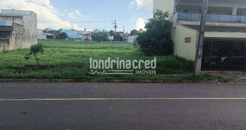 Terreno Comercial de 250 m² em Avenida Estratégica – Conecta Jd. Tropical, Moema e Farid Libos – Ac