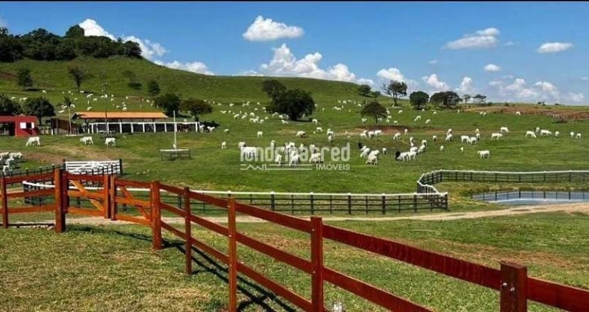Fazenda em Uraí com 73 alqueires, 150 vacas prenhas, 117 bezerros, trator 2022, plantadeira 12 linh