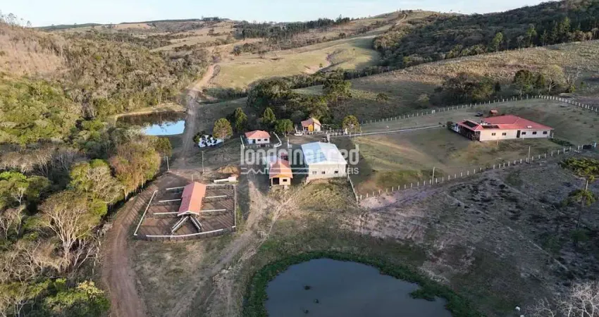 Fazenda espetacular em são jerônimo/sapopema com 140,5 alqueires, sede de alto padrão, pecuária, eu