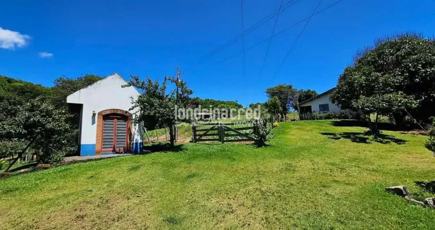 Chácara / sítio com 2 quartos à venda no Caramuru, Cambé