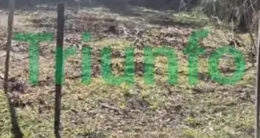 Terreno à venda na Rua Oscar Ferreira, Águas Claras, Campo Largo
