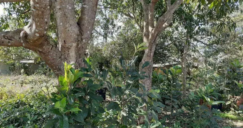 Terreno no rio vermelho,1500 m2, trilha p/a praia do moçambique