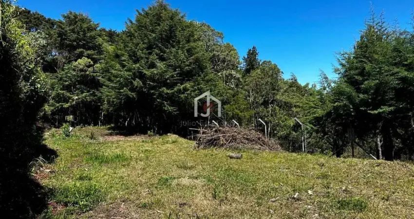 Terreno à venda no Alto da Boa Vista, Campos do Jordão 