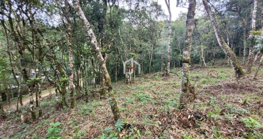 Terreno à venda no Recanto Araucária, Campos do Jordão 