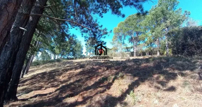 Terreno à venda no Imbiry, Campos do Jordão