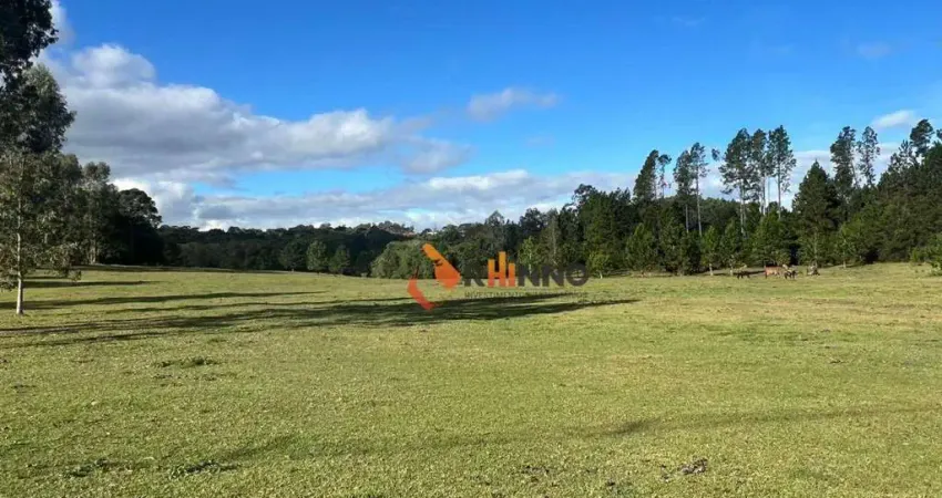 Terreno à venda na Estrada Vereador Julio Ferreira, Centro, Campina Grande do Sul