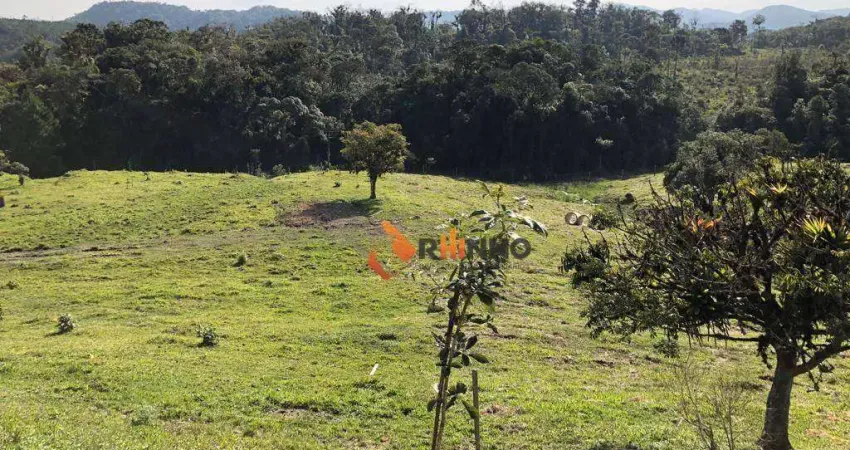 Fazenda à venda na Rodovia BR-376, 250, Campo Largo da Roseira, São José dos Pinhais