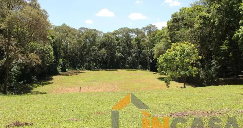Terreno à venda na Batista Zattera, Ferraria, Campo Largo