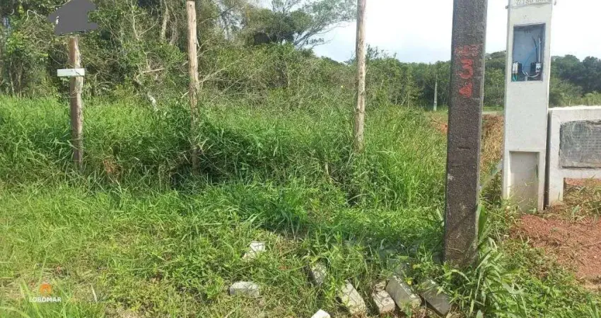 Terreno à venda na Rua 2850 - Pescada, 10, Itacolomi, Balneário Piçarras