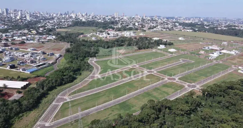 Loteamento colinas tropical - urbanismo diferenciado, projeto de arborização.