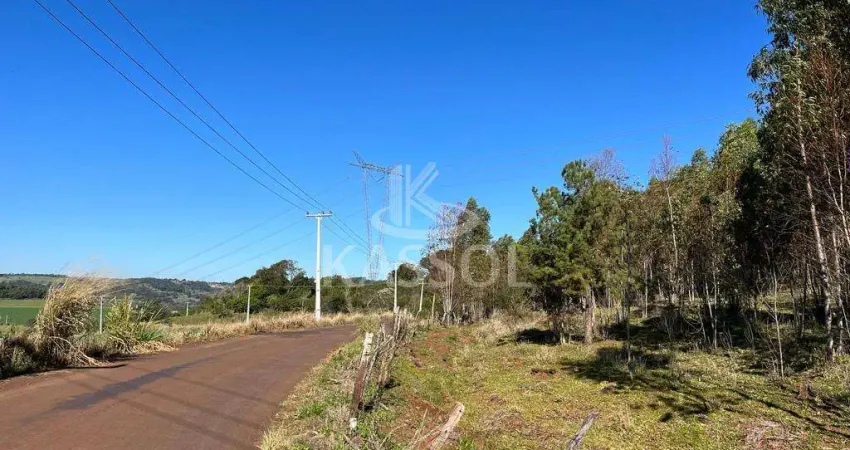 Chácara à venda, SÃO SALVADOR, CASCAVEL - PR, todas asfaltada, luz trifasica