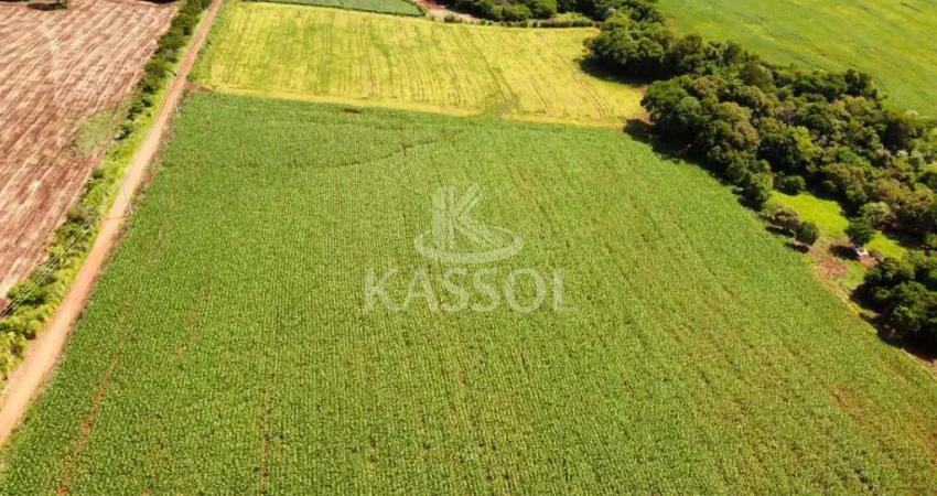 Chácara rural de 5 alqueires localizada no município de santa tereza do oeste.
