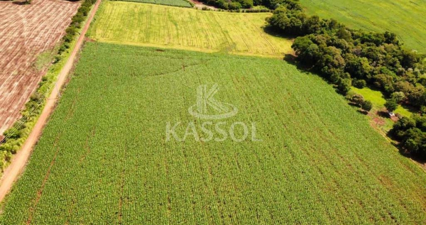 Chácara rural de 5 alqueires localizada no município de Santa Tereza do Oeste.