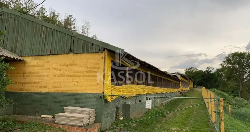 Chácara / sítio à venda na Área Rural de Toledo, Toledo 