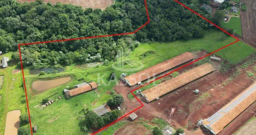 Área rural com acesso pela br 467 sentido cascavel x toledo com 4.2008ha