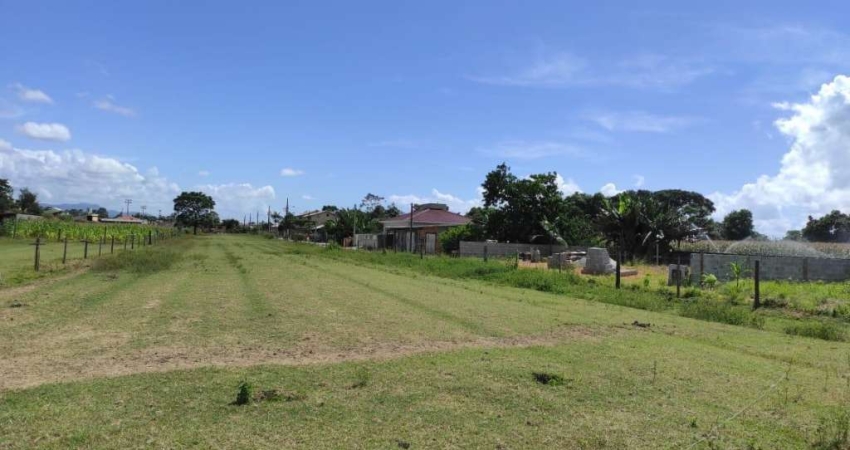 Terreno à venda no Guarda do Cubatão, Palhoça 