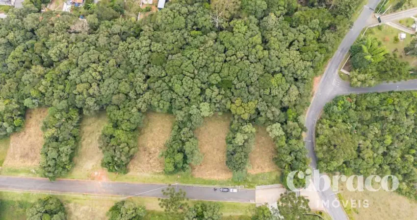 Terreno com 2.472,42m² em pinhais/pr - condomínio verdespaço