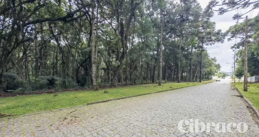 Terreno à venda na Rodovia João Leopoldo Jacomel, 4656, Jardim Primavera, Piraquara