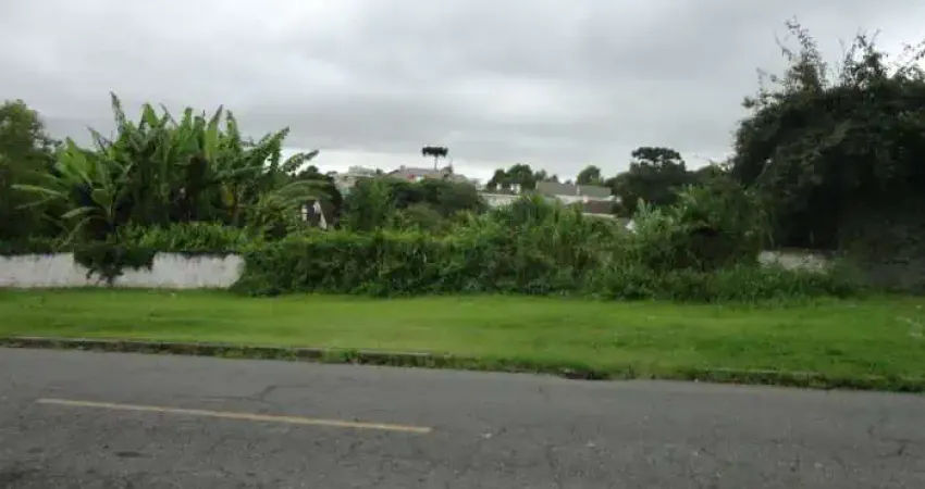Terreno comercial para alugar na Rua Francisco Schaffer, 259, Vista Alegre, Curitiba