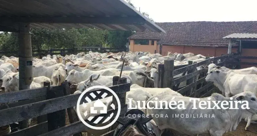 Fazenda à venda no Centro, Araruama 
