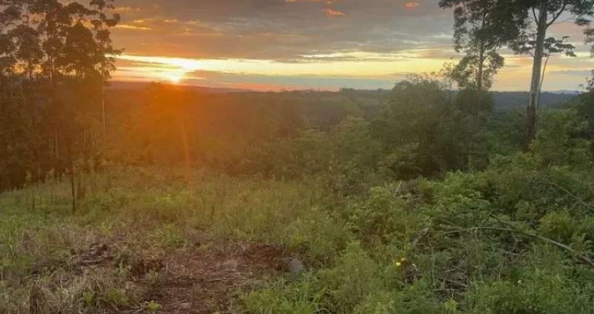 [124927]  CHACRINHA COM LINDA VISTA, TERRA FÉRTIL, ÁGUA ENCANADA , LUZ E TRANSPORTE ESCOLAR