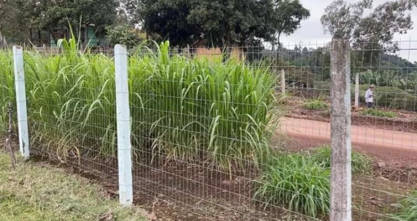 [115530]  CHÁCARA EM ROLANTE COM 3 HECTARES, CAMPO, MATA NATIVA E MATO DE EUCALIPTOS