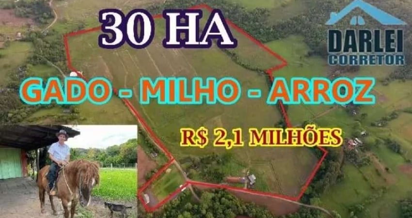 [85766] -FAZENDA PARA ARROZ, MILHO E GADO EM TAQUARA COM 30 HECTARES