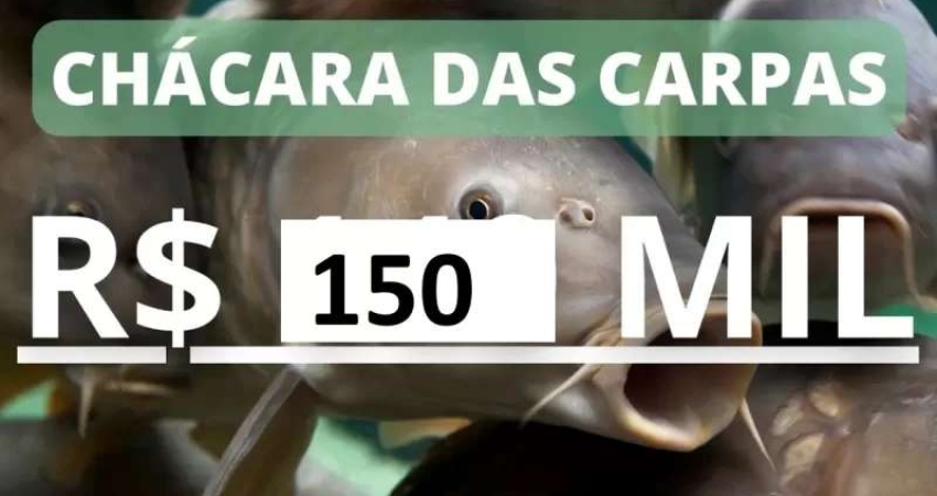 CHÁCARA DAS CARPAS ESCRITURADA COM AÇUDE, ÁGUA ENCANADA E REDE ELÉTRICA NO CARAÁ