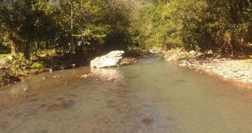 [121213]   SITIO NO RIOZINHO 19 HECTARES, CASA,  RIO, TERRA FÉRTIL, LUZ E ÁGUA ENCANADA